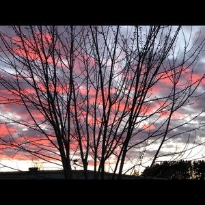 Meet your Posher, Kylee